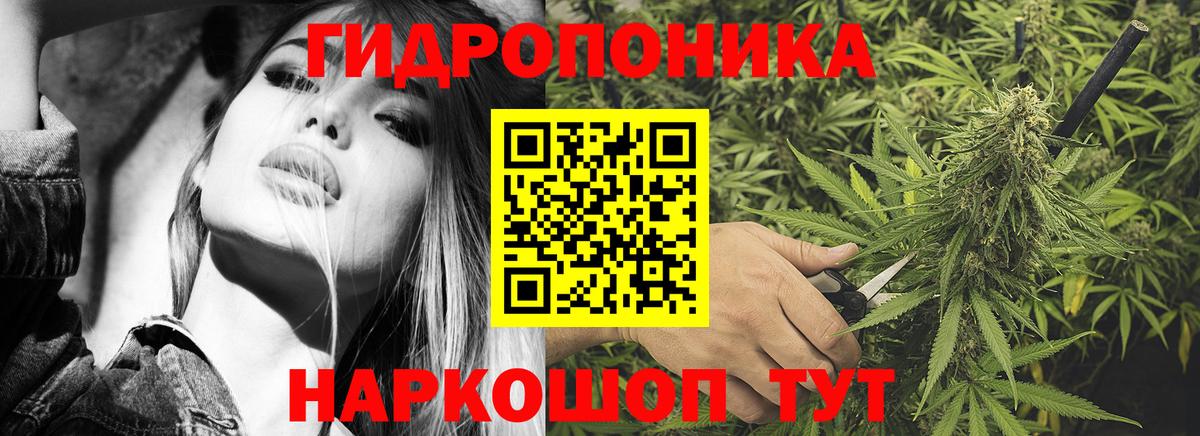 Марихуана марихуана Михайловск
